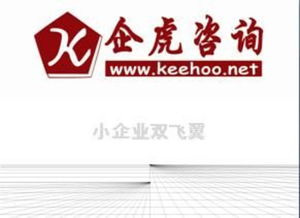 小企业管理咨询实务 市场部与人力资源部的定价、供应商与视觉信息咨询服务构建指南