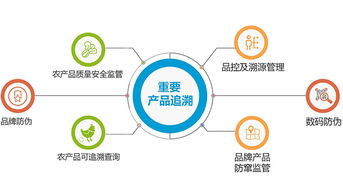 二维码溯源系统 如何重塑企业质量管理与追溯体系