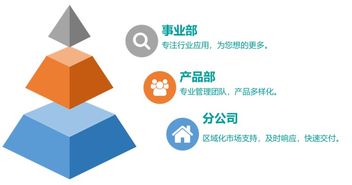 应届生公司简介 技术服务团队